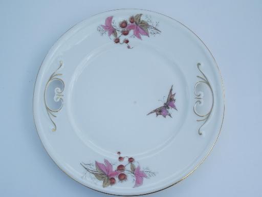 photo of butterfly moth and horse chestnut art nouveau vintage china tea set for 8 #7