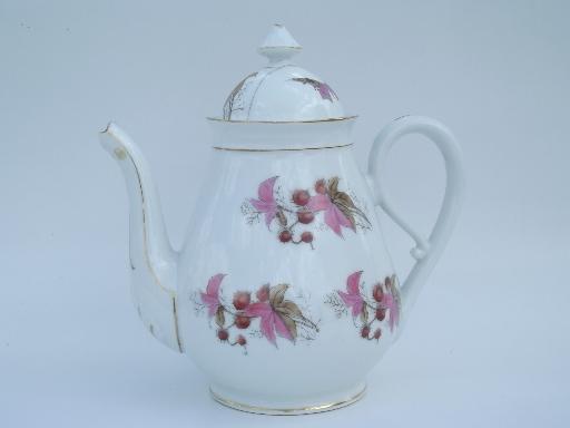 photo of butterfly moth and horse chestnut art nouveau vintage china tea set for 8 #8