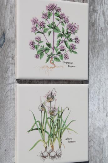 photo of ceramic kitchen tiles w/ botanical herb prints of culinary herbs #2