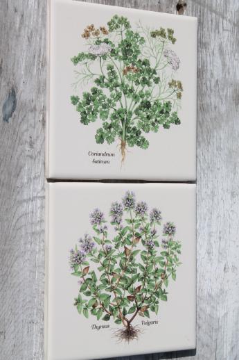 photo of ceramic kitchen tiles w/ botanical herb prints of culinary herbs #3