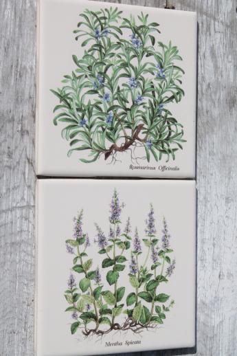 photo of ceramic kitchen tiles w/ botanical herb prints of culinary herbs #4