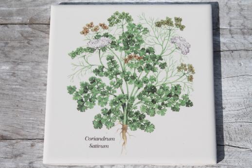 photo of ceramic kitchen tiles w/ botanical herb prints of culinary herbs #5