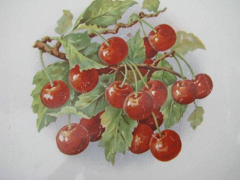 photo of cherries, antique vintage shabby china plate #2