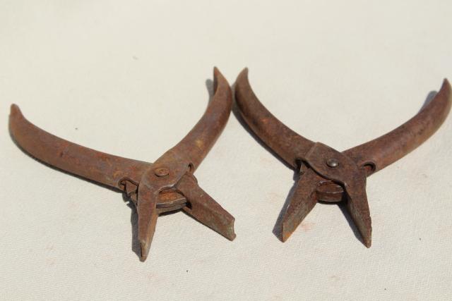 photo of collection of antique pliers, Lodi duckbill Schollhorn w/ parallel jaws vintage tool lot #8