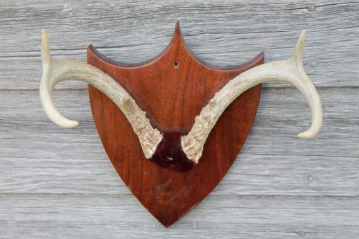 photo of collection of deer antler mounts & antlers on rustic wood boards vintage mountings #4