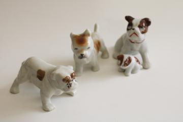 catalog photo of collection of tiny bull terriers, vintage Japan hand painted china dogs figurines 