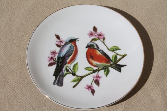 photo of collection of vintage painted china plates w/ fruit, flowers, song birds #6