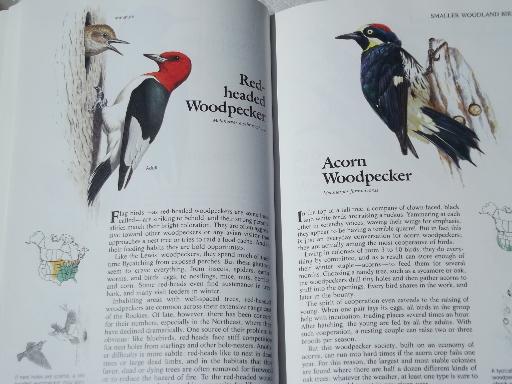 photo of color photo bird watcher books, North American birds, Birds Around US #2