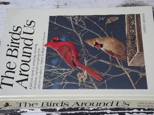 photo of color photo bird watcher books, North American birds, Birds Around US #3