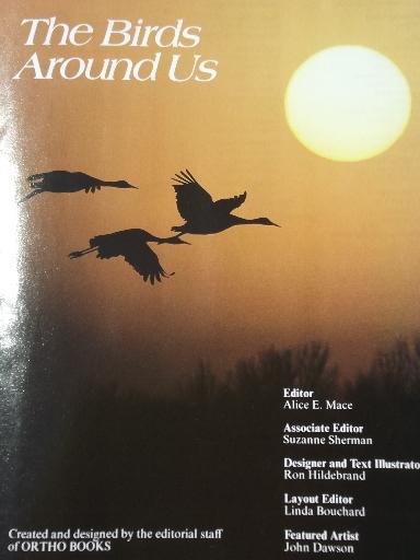 photo of color photo bird watcher books, North American birds, Birds Around US #4