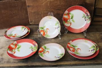 cottagecore vintage dishes, red & white dotted border plates w/ apple print