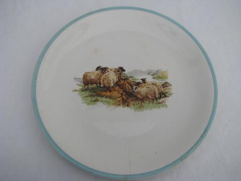 photo of country pastoral scene of sheep, antique vintage china plate #1