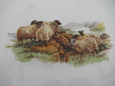 photo of country pastoral scene of sheep, antique vintage china plate #2