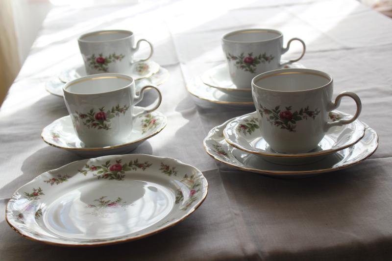 photo of cup & saucer and plate trios Moss Rose pink roses china Johann Haviland Traditions #7