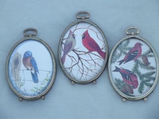 photo of domed bubble glass framed miniatures, vintage bird print set #1