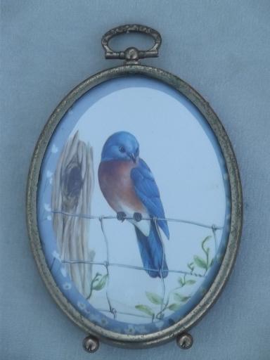 photo of domed bubble glass framed miniatures, vintage bird print set #2