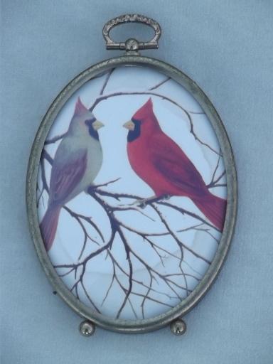 photo of domed bubble glass framed miniatures, vintage bird print set #3