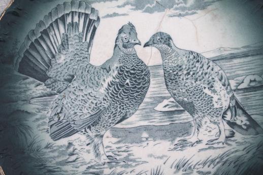 photo of dusky grouse birds antique blue - green transferware plate, vintage 1908 Buffalo china  #3