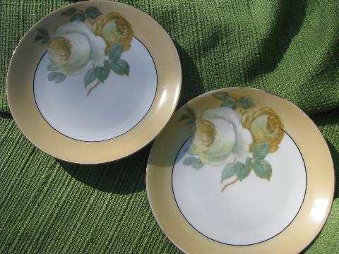 photo of early 1900s antique Bavaria china plates lot, full blown yellow roses #4