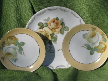 catalog photo of early 1900s antique Bavaria china plates lot, full blown yellow roses