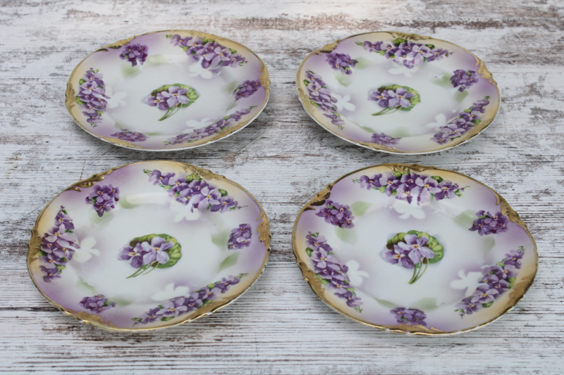 photo of early 1900s antique hand painted china plates w/ violets, Prussia ES Erdmann Schlegelmilch 1861 mark #1