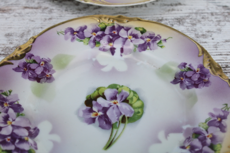photo of early 1900s antique hand painted china plates w/ violets, Prussia ES Erdmann Schlegelmilch 1861 mark #2