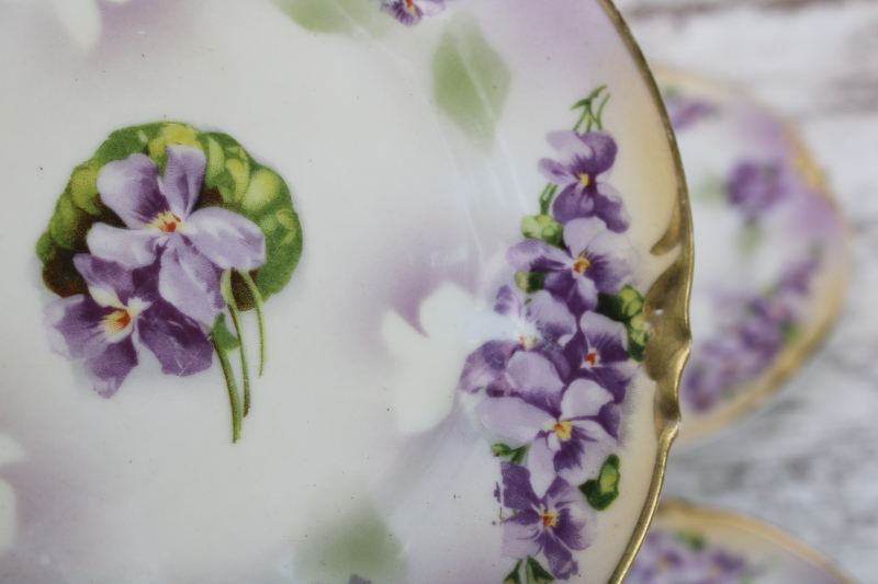 photo of early 1900s antique hand painted china plates w/ violets, Prussia ES Erdmann Schlegelmilch 1861 mark #3