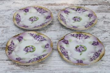catalog photo of early 1900s antique hand painted china plates w/ violets, Prussia ES Erdmann Schlegelmilch 1861 mark