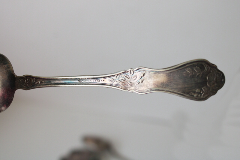 photo of early 1900s antique silverplated tea spoons, Rockford silver plate Rosemary roses floral  #5