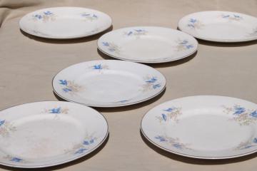 catalog photo of early 1900s vintage Knowles Taylor KT&K bluebird china dinner plates set of 6