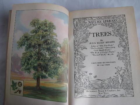 photo of early century vintage natural history book, Trees w/ 48 color litho plates #2