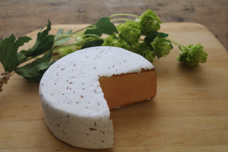 photo of fake food wheel of French cheese, rustic kitchen photo prop stylist display faux cheese #1