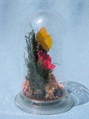 photo of flowers & butterfly, glass dome cover natural history display mount #2