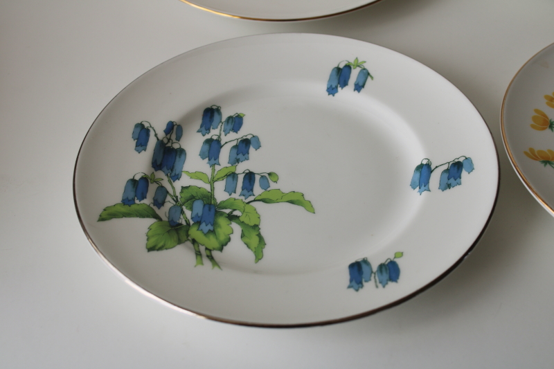 photo of four Crown Sterling china plates vintage florals English flowers buttercups bluebells glads mums  #3