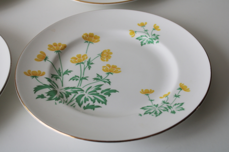 photo of four Crown Sterling china plates vintage florals English flowers buttercups bluebells glads mums  #4