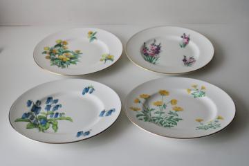 catalog photo of four Crown Sterling china plates vintage florals English flowers buttercups bluebells glads mums 