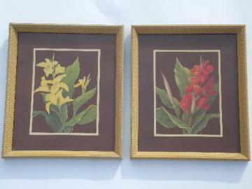 catalog photo of framed vintage floral litho prints, 40s Turner print style in old frames