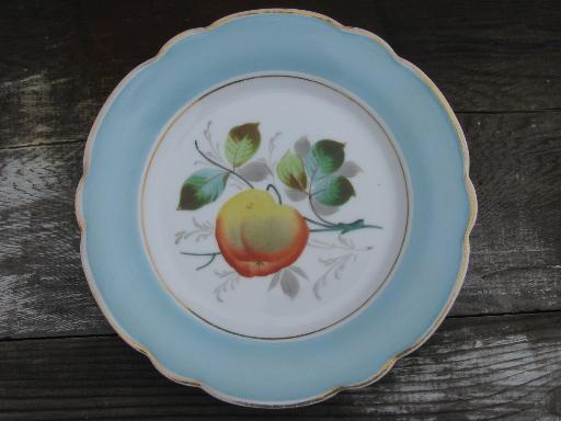 photo of fruit and flowers, antique hand-painted china plates w/ colored borders #3