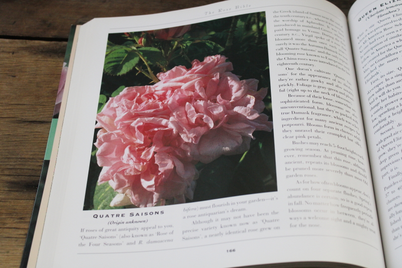 photo of gardening book The Rose Bible by Rayford Clayton Reddell flower types, varieties w/ color photos  #4