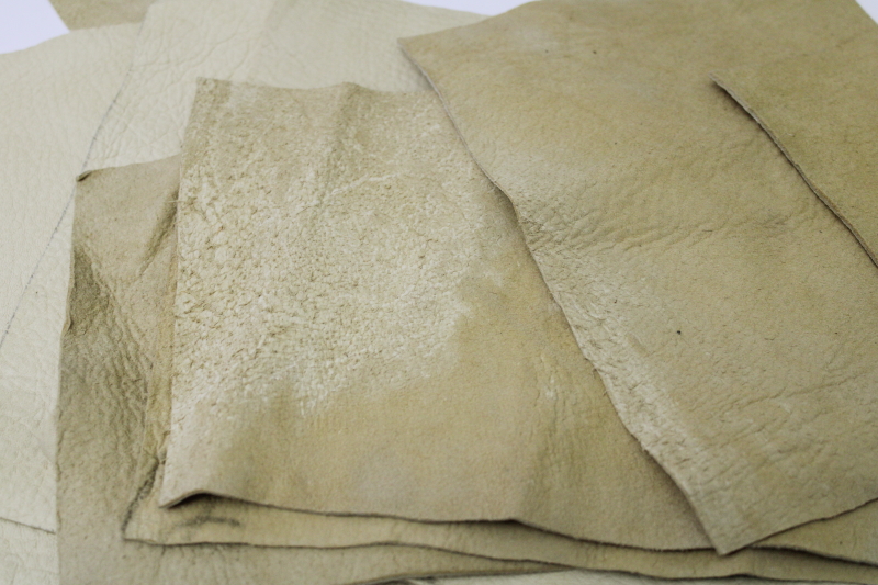 photo of genuine deerskin leather natural hide chamois 12 pieces 8 x 6  #3