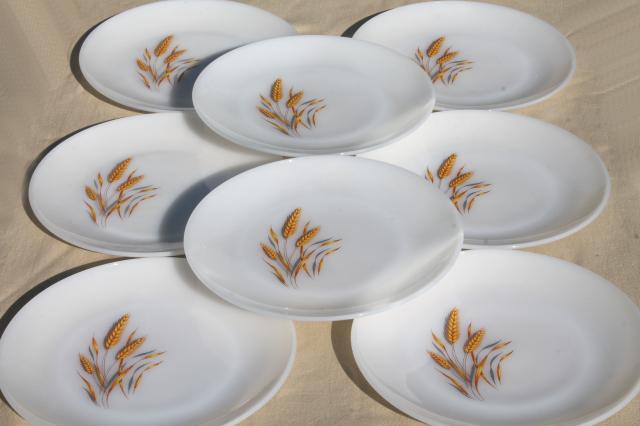 photo of gold wheat Fire King milk glass, set of 8 dinner plates golden harvest pattern #1