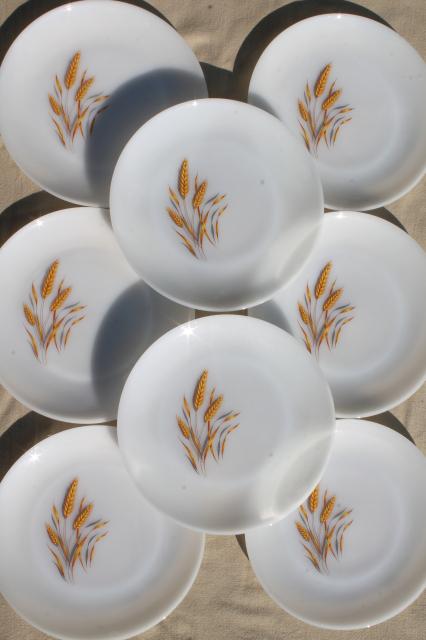 photo of gold wheat Fire King milk glass, set of 8 dinner plates golden harvest pattern #2