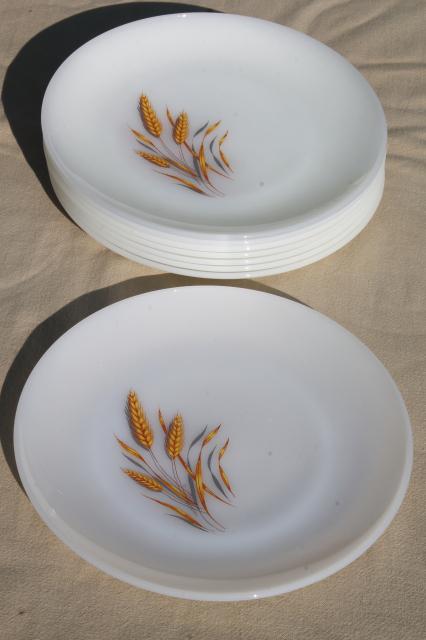 photo of gold wheat Fire King milk glass, set of 8 dinner plates golden harvest pattern #3