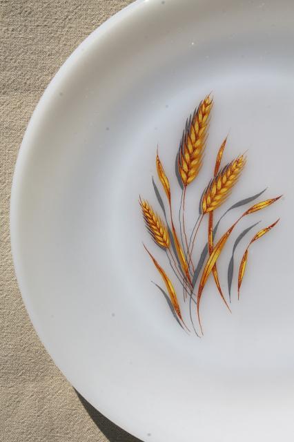 photo of gold wheat Fire King milk glass, set of 8 dinner plates golden harvest pattern #4