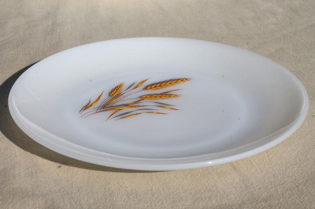 photo of gold wheat Fire King milk glass, set of 8 dinner plates golden harvest pattern #6