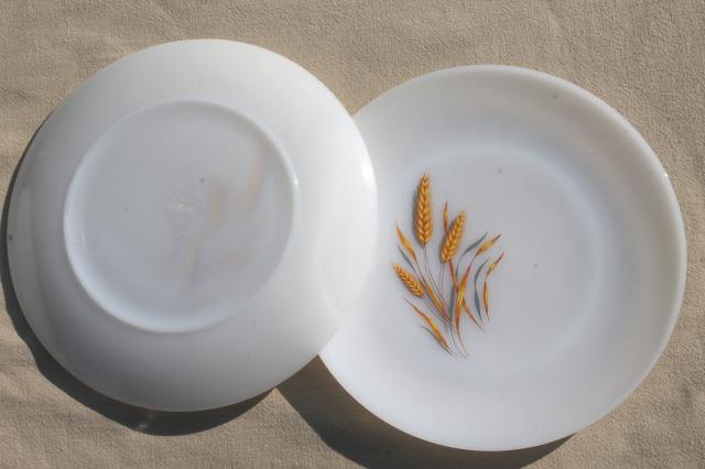 photo of gold wheat Fire King milk glass, set of 8 dinner plates golden harvest pattern #7