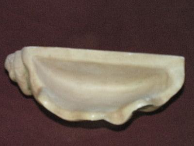 photo of great chalkware seashell wall pocket for retro beach house #2