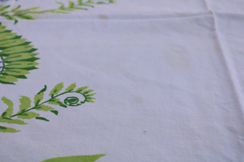 photo of green ferns blue flowers red border print vintage cotton kitchen tablecloth  #4