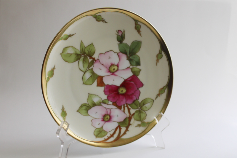 photo of hand painted Bavaria china plate, wild roses floral w/ gold, early 1900s vintage   #1