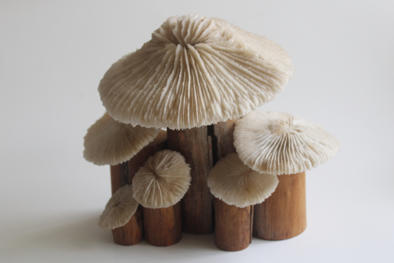 photo of handcrafted mushrooms, rustic neutral decor reclaimed wood and pale stone colored coral  #1